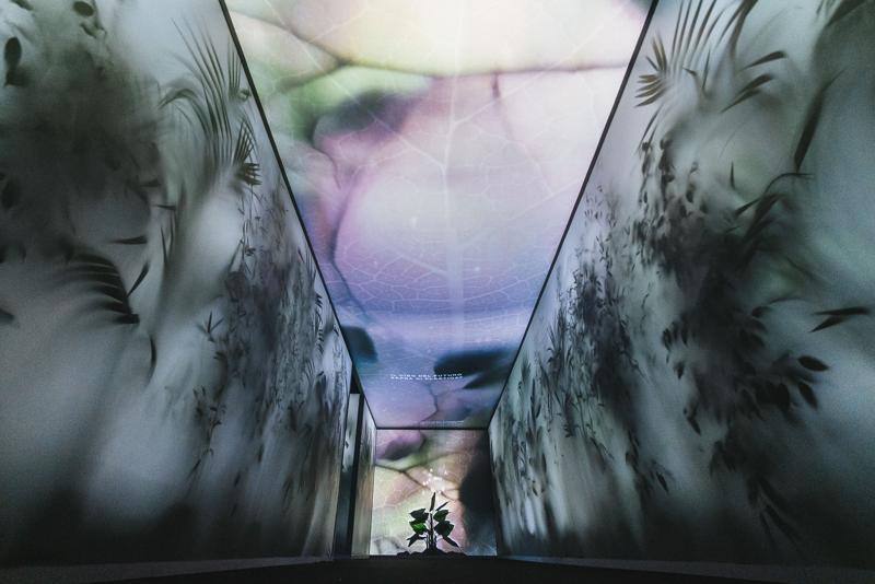 Design Week, IED: “Under Pressure” per la sostenibilità ambientale