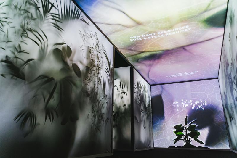 Design Week, IED: “Under Pressure” per la sostenibilità ambientale