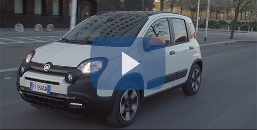 panda wind video panda wind video