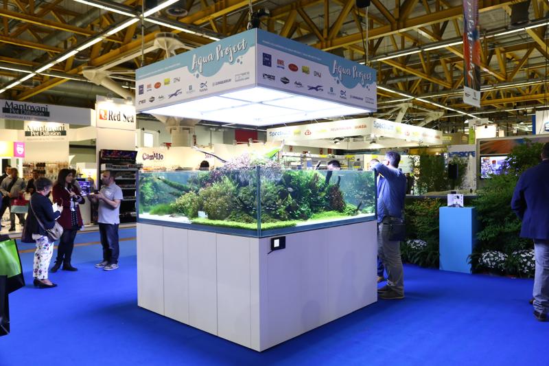 Zoomark International a Bologna verso il tutto esaurito Zoomark International a Bologna verso il tutto esaurito