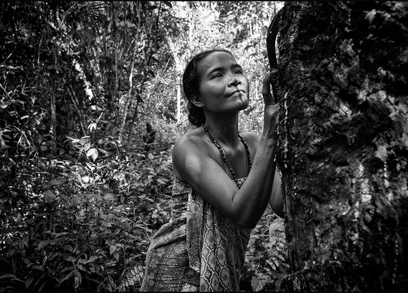 Pirelli lancia piattaforma digitale per conoscere mondo della gomma naturale Pirelli lancia piattaforma digitale per conoscere mondo della gomma naturale