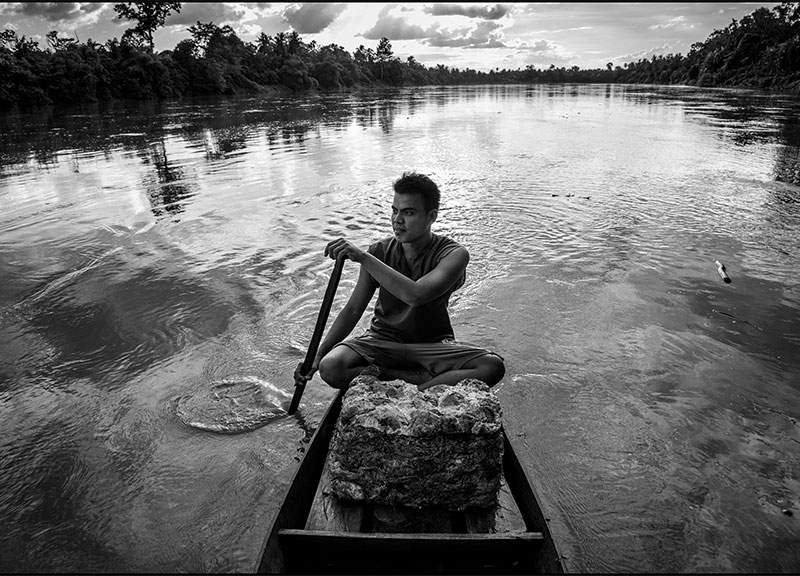 Pirelli lancia piattaforma digitale per conoscere mondo della gomma naturale Pirelli lancia piattaforma digitale per conoscere mondo della gomma naturale