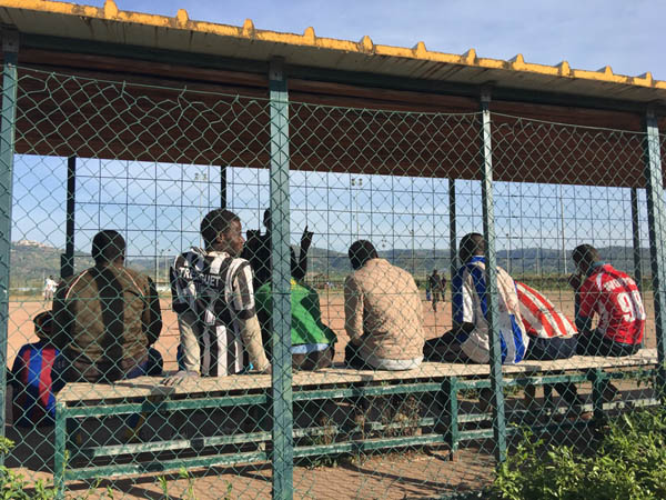 Salvini, migranti: la Cassazione mette i paletti sull’asilo politico Salvini, migranti: la Cassazione mette i paletti sull’asilo politico