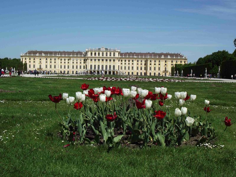 Vienna, il viaggio dove il nuovo esiste e il vecchio resiste.