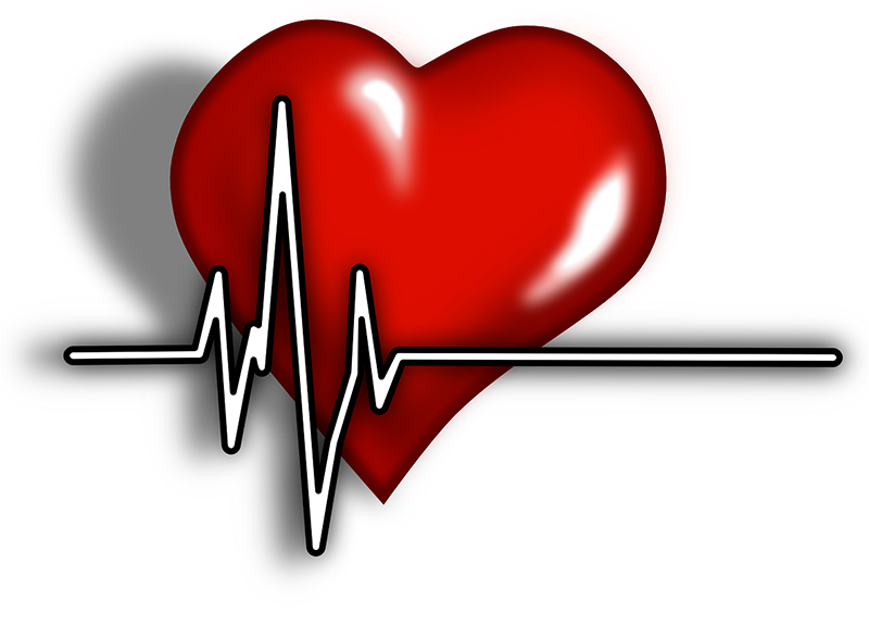 Una terapia genetica può riparare il cuore dopo l’infarto Una terapia genetica può riparare il cuore dopo l’infarto