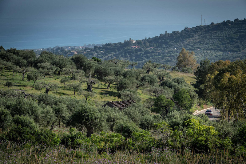 103° Targa Florio: Rossetti terzo nella prova spettacolo