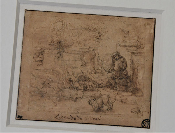 LEONARDO mai visto, la Sala delle Asse svela nuove opere al Castello Sforzesco