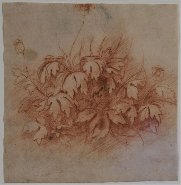 LEONARDO mai visto, la Sala delle Asse svela nuove opere al Castello Sforzesco