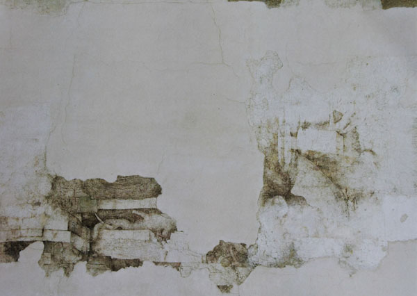 LEONARDO mai visto, la Sala delle Asse svela nuove opere al Castello Sforzesco