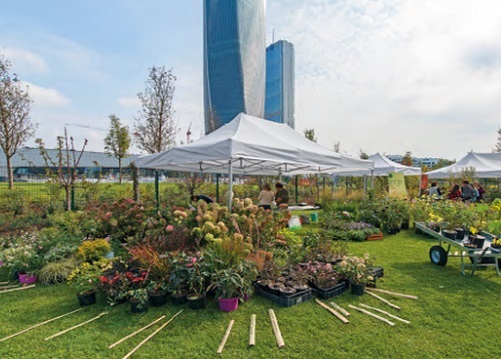 CityLife, tornano gli Orti fioriti: la stagione primavera estate CityLife, tornano gli Orti fioriti: la stagione primavera estate