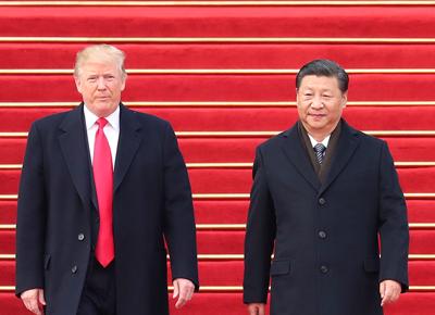 Donald trump cina ape Donald trump cina ape