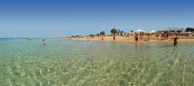 Insieme alla plastica le alghe assassine ammazzano i mari dei Caraibi