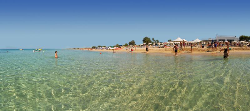 Insieme alla plastica le alghe assassine ammazzano i mari dei Caraibi Insieme alla plastica le alghe assassine ammazzano i mari dei Caraibi
