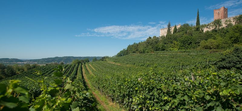 SEAT Urban Vehicles™: a tutto SUV