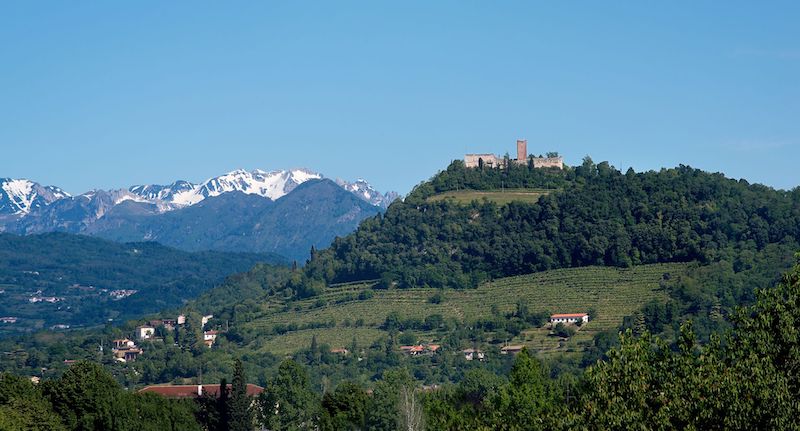 SEAT Urban Vehicles™: a tutto SUV