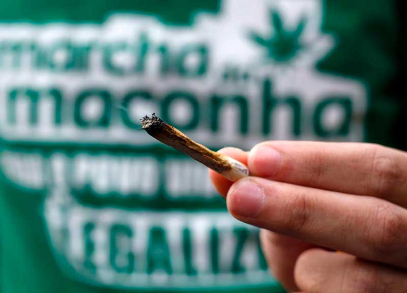 Cannabis light sparisce dagli scaffali: panico tra i 50 grow shop di Roma Cannabis light sparisce dagli scaffali: panico tra i 50 grow shop di Roma