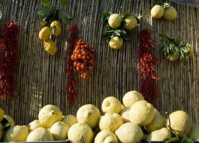 Ansenum scopre i prodotti del più bell’orto d’Europa: il Parco dei  Lattari