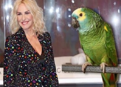 Portobello, la sentenza: pappagallo non fu maltrattato. Animalisti sconfitti
