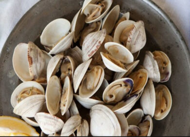 Italia, sì alla produzione di vongole bio. Cassate regole che lo impedivano