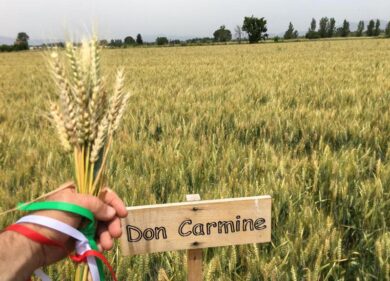 Mulino Caputo, per il Capodanno del Mugnaio appuntamento ai campi di Frignano