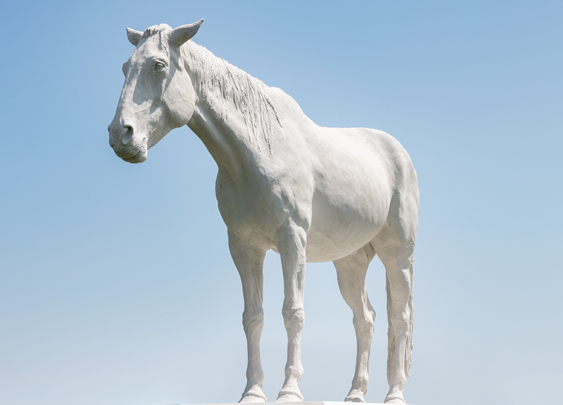 Ca’ Corniani apre i battenti: a Caorle la riqualificazione firmata Genagricola