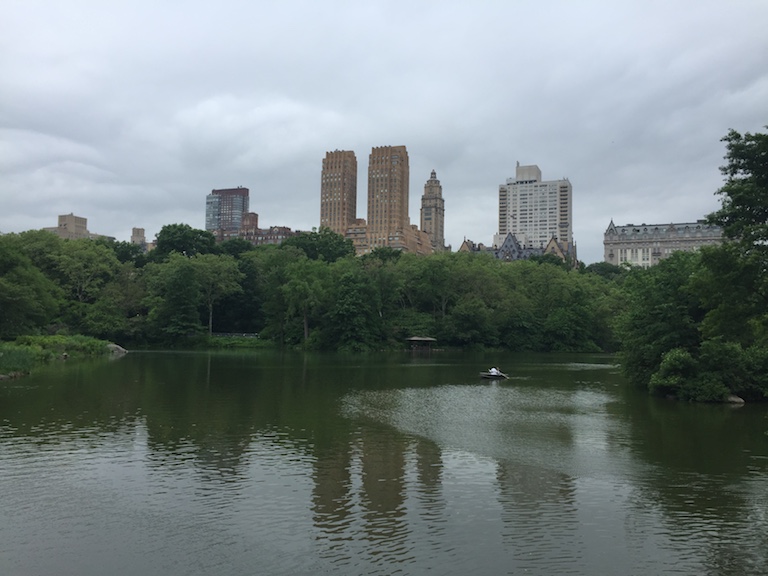 New York: 10 cose da fare, anche con bambini piccoli New York: 10 cose da fare, anche con bambini piccoli