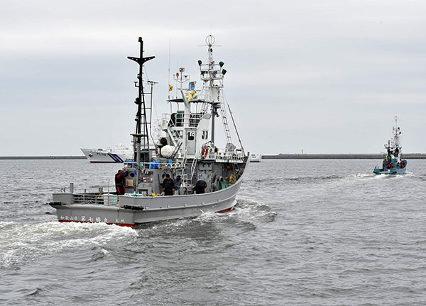 Giappone: riprende la caccia alle balene a scopi commerciali dopo 31 anni Giappone: riprende la caccia alle balene a scopi commerciali dopo 31 anni