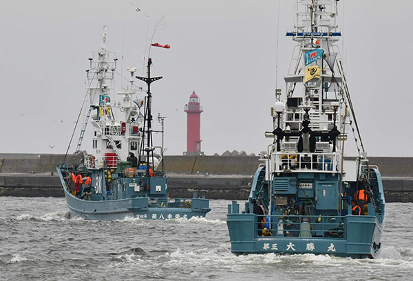 Giappone: riprende la caccia alle balene a scopi commerciali dopo 31 anni Giappone: riprende la caccia alle balene a scopi commerciali dopo 31 anni
