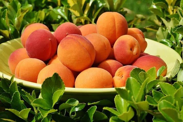 Dieta della albicocche: per dimagrire velocemente e un’abbronzatura naturale Dieta della albicocche: per dimagrire velocemente e un’abbronzatura naturale