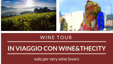 In viaggio con Wine&Thecity: gli eno-appassionati scoprono i luoghi del vino