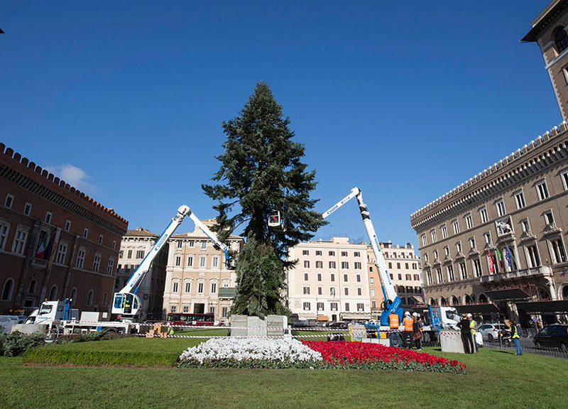 Roma, l’afa regna ma Raggi e il Comune M5S pensano già all’albero di Natale Roma, l’afa regna ma Raggi e il Comune M5S pensano già all’albero di Natale