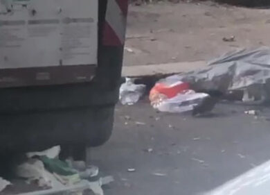 Roma come Topolinia: famiglia topi a caccia di cibo nei cassonetti stracolmi