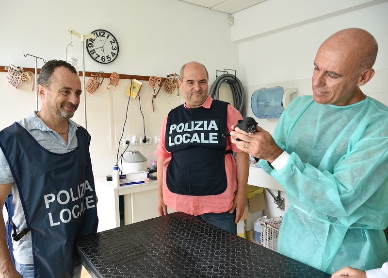 Polizia locale e Ats salvano cane con cuccioli da maltrattamenti. FOTO Polizia locale e Ats salvano cane con cuccioli da maltrattamenti. FOTO