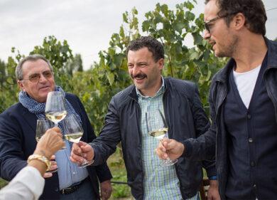 Olivini, una nuova cantina per ottimizzare il proprio patrimonio varietale