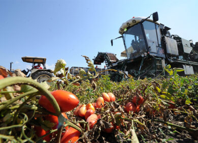 Overshoot Day, Coldiretti: sette italiani su dieci tagliano gli sprechi