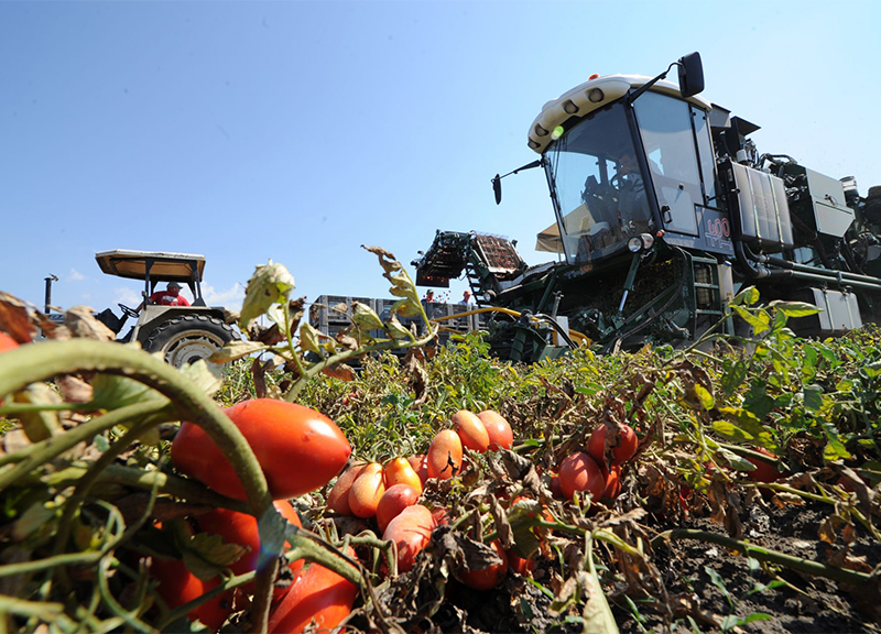 Overshoot Day, Coldiretti: sette italiani su dieci tagliano gli sprechi Overshoot Day, Coldiretti: sette italiani su dieci tagliano gli sprechi