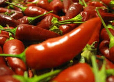 Il peperoncino fa male al cervello, favorisce la demenza: quanto mangiarne?