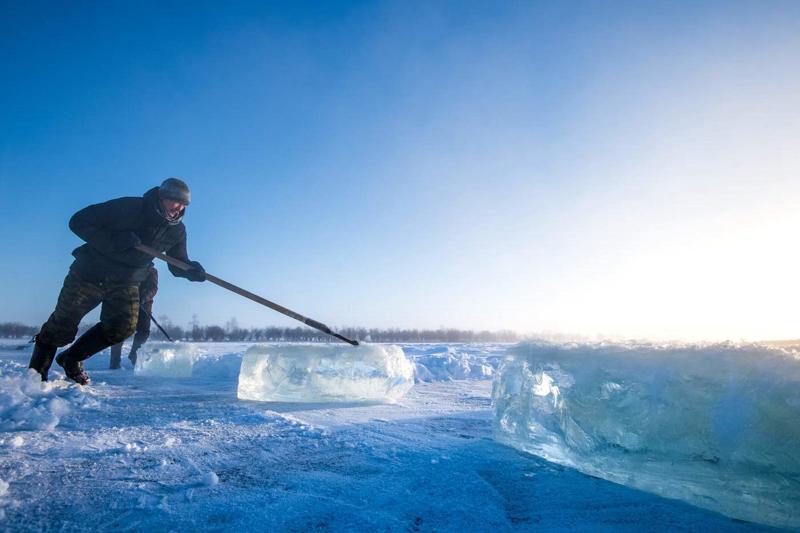 Cambiamenti climatici a catena. Incendi in Siberia,caldo record in Groenlandia Cambiamenti climatici a catena. Incendi in Siberia,caldo record in Groenlandia