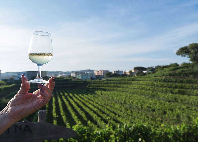 Archeologia, paesaggio e gastronomia. I Campi Flegrei si promuovono con Malazè Archeologia, paesaggio e gastronomia. I Campi Flegrei si promuovono con Malazè