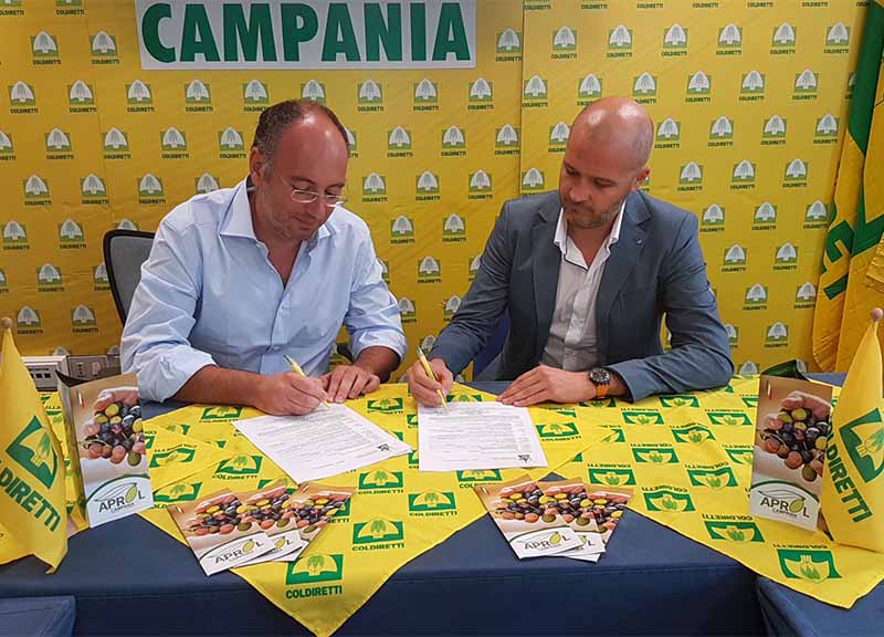 Olio evo 100% italiano, accordo di filiera tra Aprol Campania e Zucchi spa Olio evo 100% italiano, accordo di filiera tra Aprol Campania e Zucchi spa