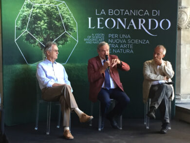 La Botanica di Leonardo, a Firenze una mostra sulle forme del mondo vegetale