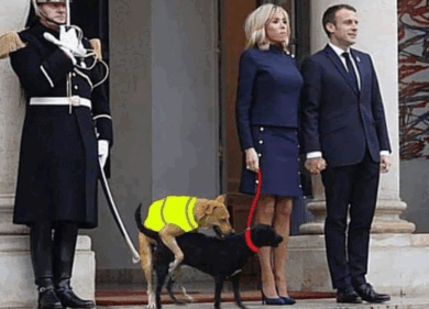 Francia, Brigitte Macron torna a insegnare: prof in una scuola per disoccupati