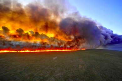 Indonesia, brucia la foresta tropicale. Arrestati 230 presunti piromani