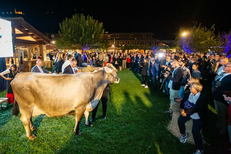 Food, alla Fiorida gli stellati celebrano il re Bitto Food, alla Fiorida gli stellati celebrano il re Bitto