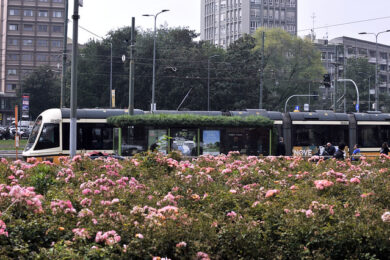 Milano, contratti con privati per il verde per un valore di oltre 1,5 mln