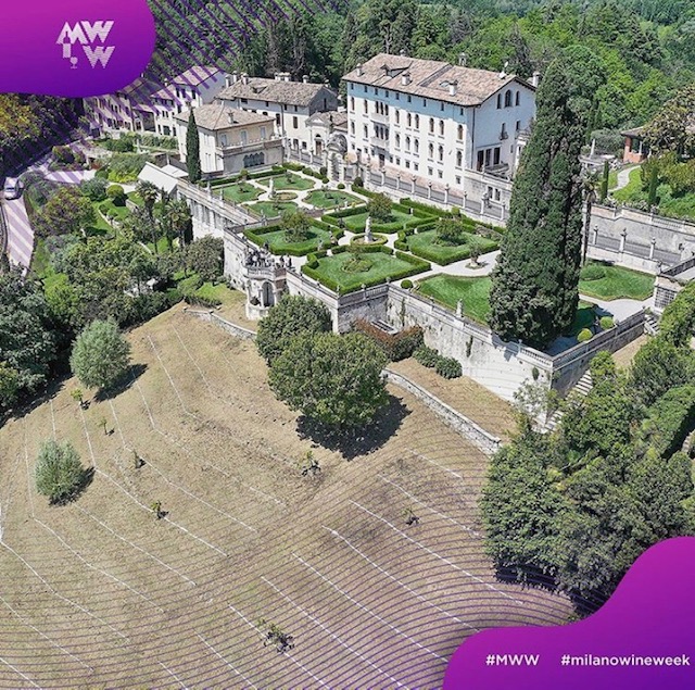 Milano Wine Week: dal 6 al 13 ottobre torna la Milano da bere. FOTO