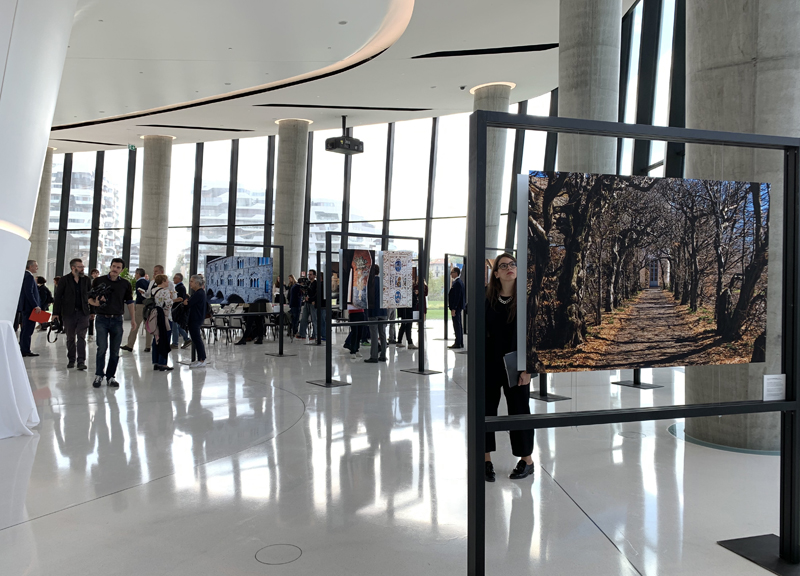 “Meraviglie nascoste”, ora visibili nella mostra di Guindani a Torre Generali