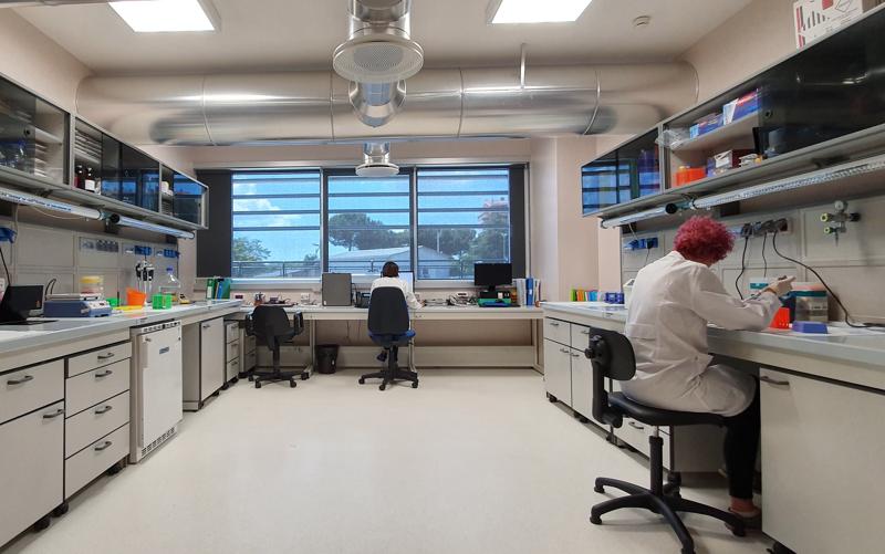 Nobel Medicina Semenza: studio condotto con il San Raffaele nelle motivazioni Nobel Medicina Semenza: studio condotto con il San Raffaele nelle motivazioni