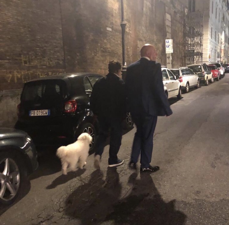 cecchi gori 4 cecchi gori 4