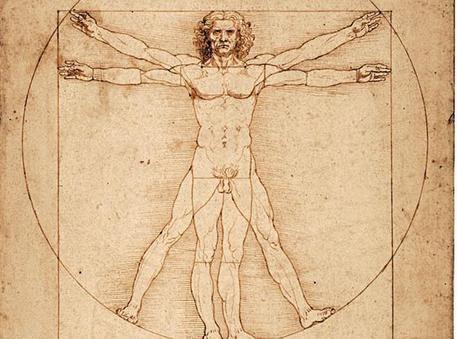 Leonardo, Tar respinge il ricorso: sì al prestito dell’Uomo vitruviano Leonardo, Tar respinge il ricorso: sì al prestito dell’Uomo vitruviano